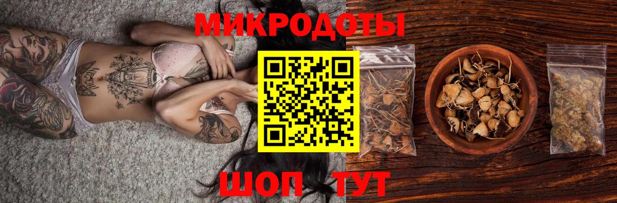 Псилоцибиновые грибы Cubensis Волгоград
